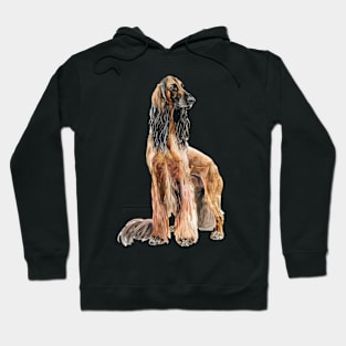 Afghan Hound Hoodie